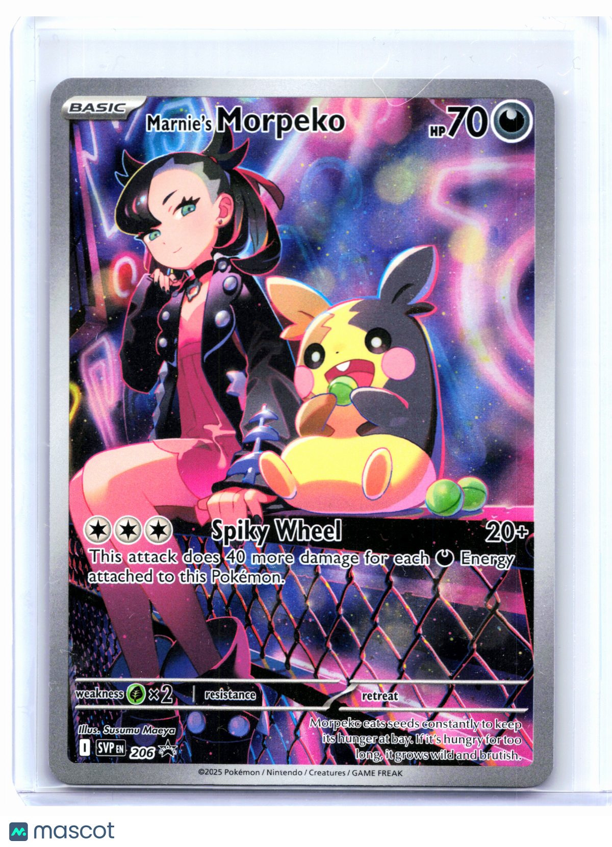 2025 Pokemon—Marnie's Morpeko #206 Scarlet & Violet Promo—Black Star Promo Holo