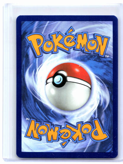 2025 Pokemon—Marnie's Morpeko #206 Scarlet & Violet Promo—Black Star Promo Holo