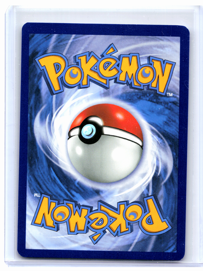 2019 Pokemon—Eevee GX #SM233 Sun & Moon Promos—Black Star Promo Holo