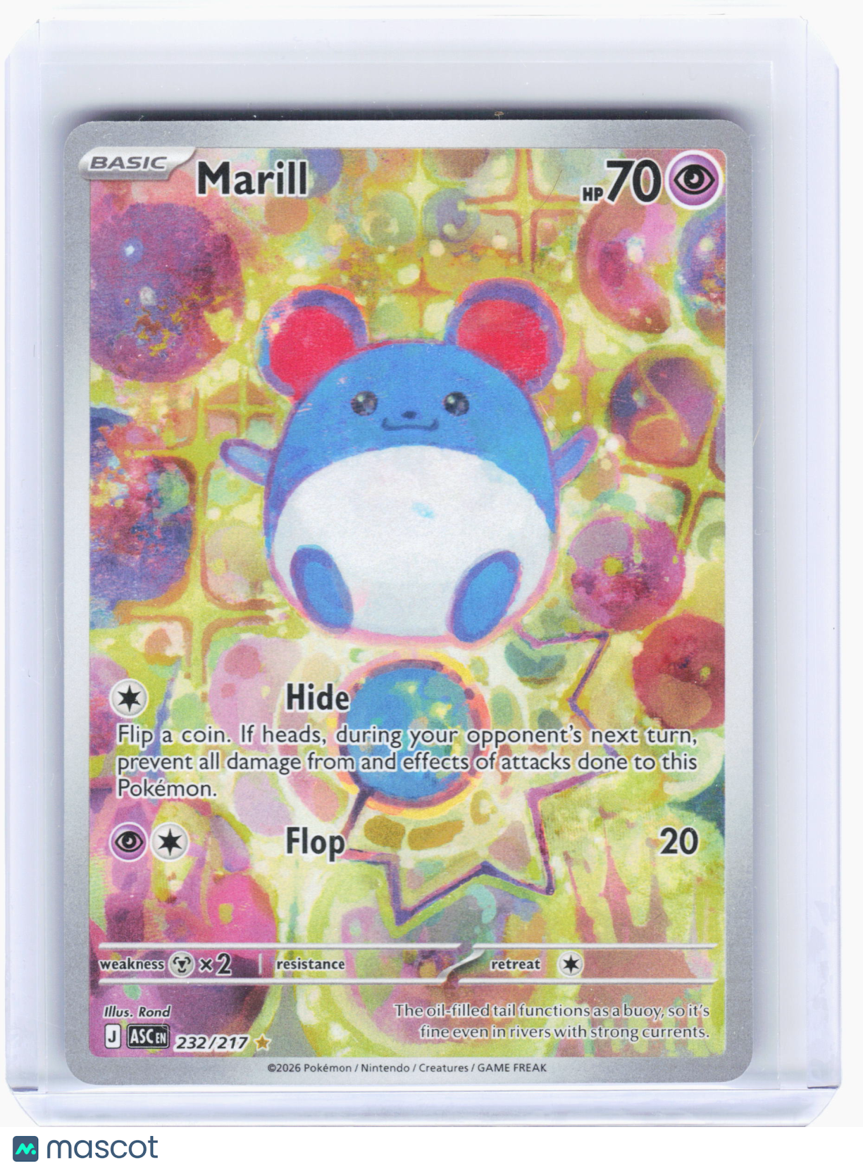 2026 Pokemon—Marill #232 Ascended Heroes—Illustration Rare Holo