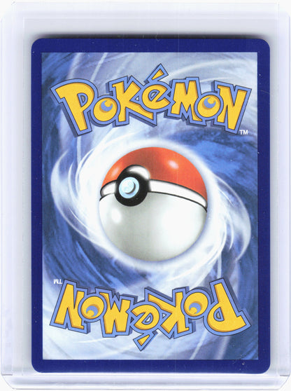 2026 Pokemon—Marill #232 Ascended Heroes—Illustration Rare Holo