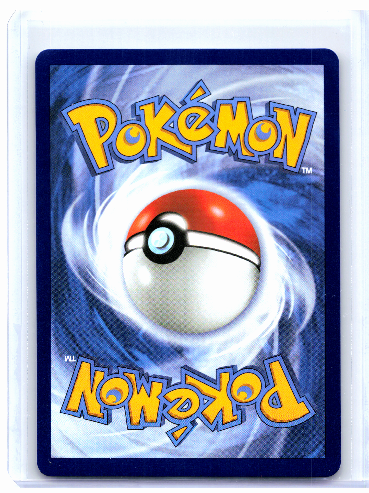 2025 Pokemon—Litleo #139/132 Mega Evolution Base Set—Illustration Rare Holo