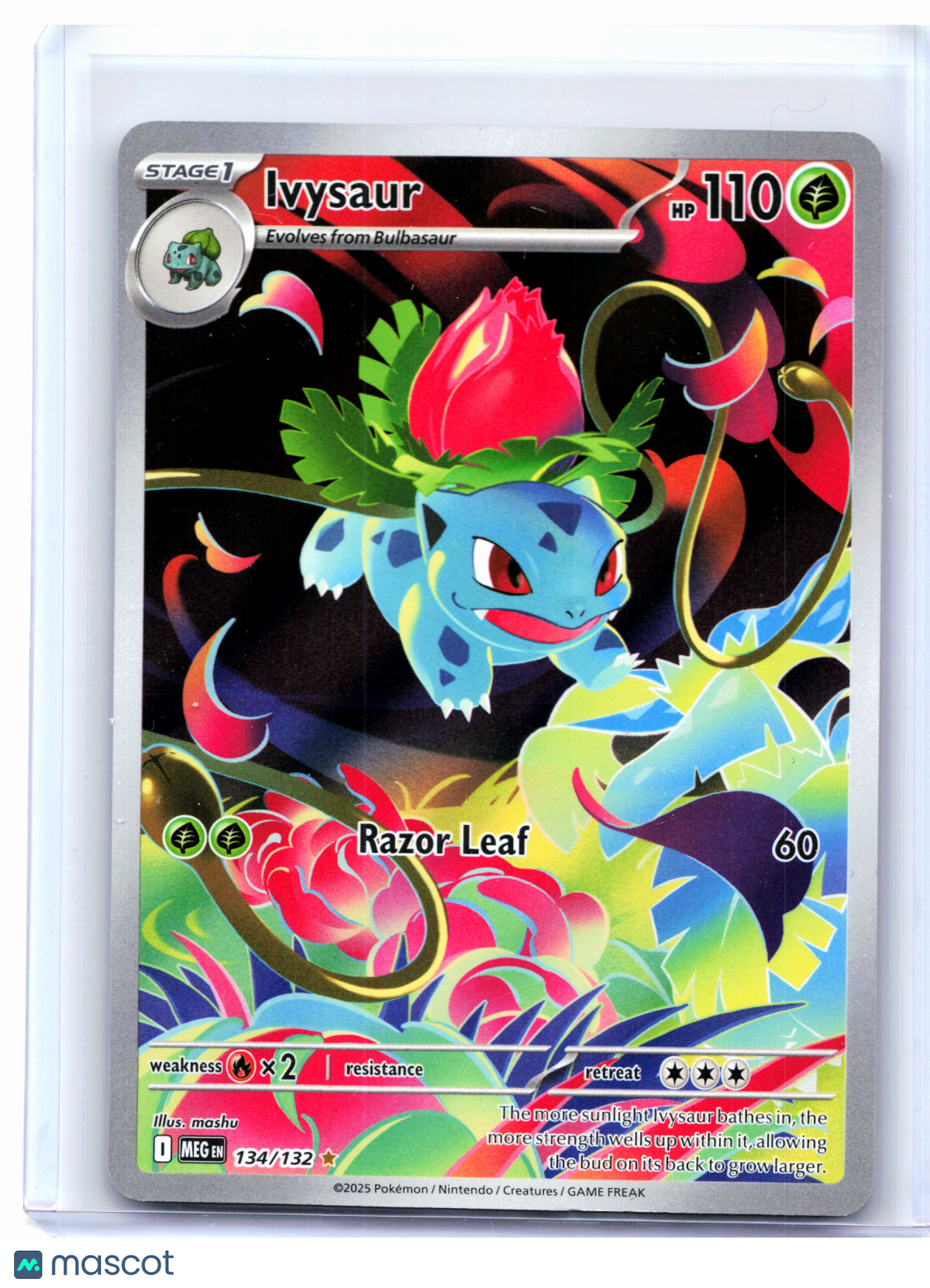 2025 Pokemon—Ivysaur #134/132 Mega Evolution Base Set—Illustration Rare Holo