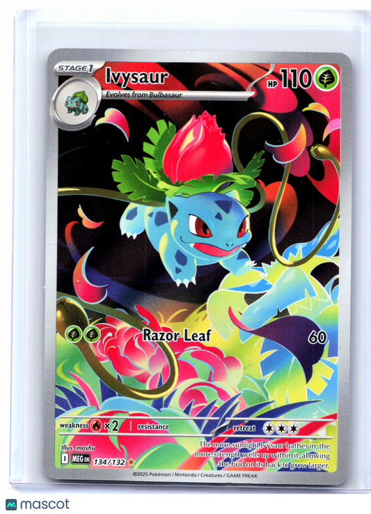 2025 Pokemon—Ivysaur #134/132 Mega Evolution Base Set—Illustration Rare Holo