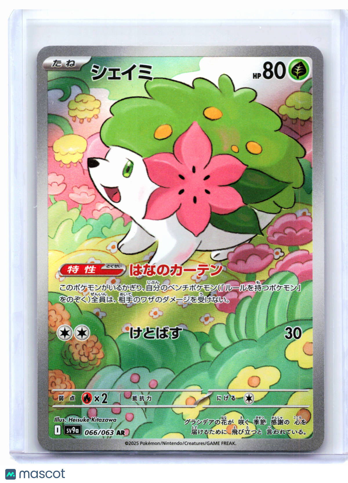 2025 Pokemon—Shaymin #066/063 Hot Wind Arena—Art Rare Holo Japanese