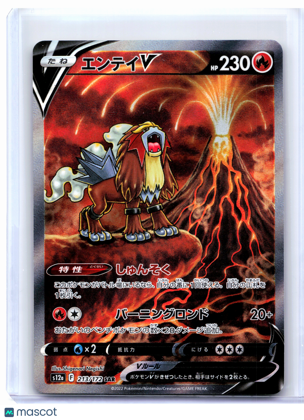 2022 Pokemon—Entei V #213/172 VSTAR Universe—Special Art Rare Holo Japanese