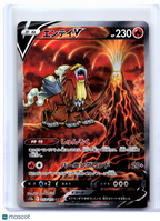 2022 Pokemon—Entei V #213/172 VSTAR Universe—Special Art Rare Holo Japanese