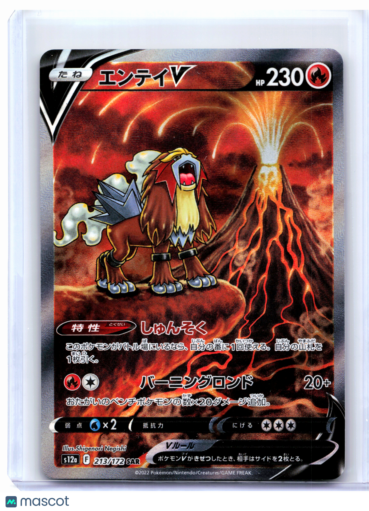 2022 Pokemon—Entei V #213/172 VSTAR Universe—Special Art Rare Holo Japanese