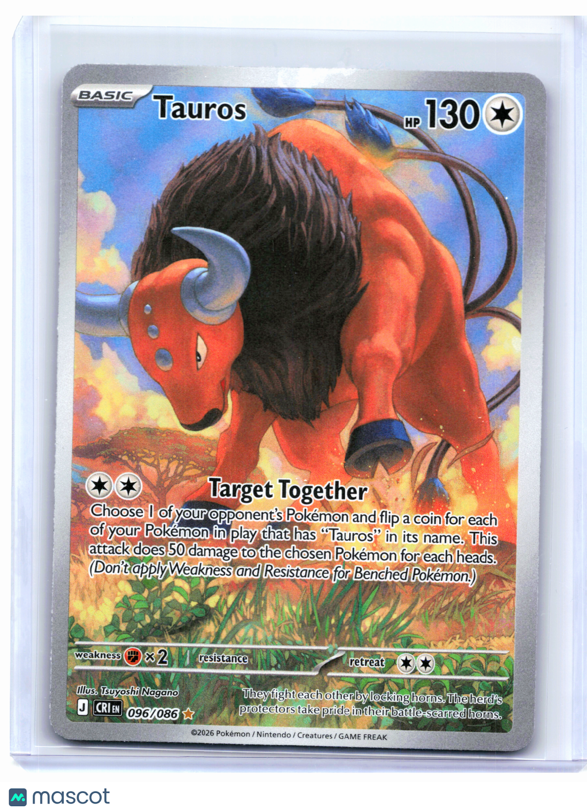 2026 Pokemon—Tauros #096/086 Chaos Rising—Illustration Rare Holo