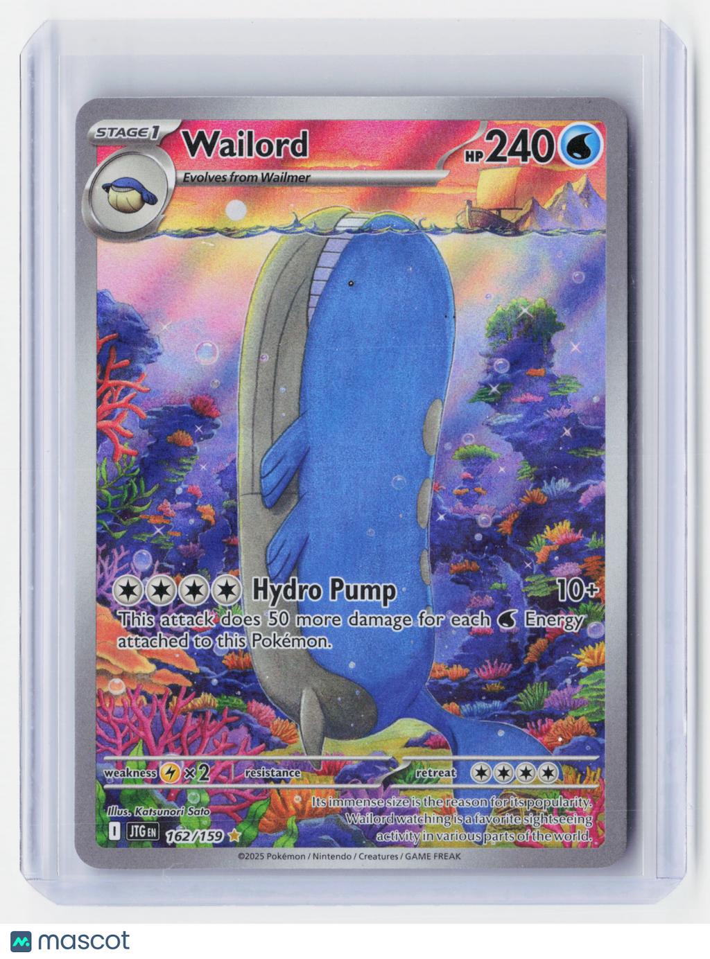 2025 Pokemon—Wailord #162/159 Journey Together—Illustration Rare Foil