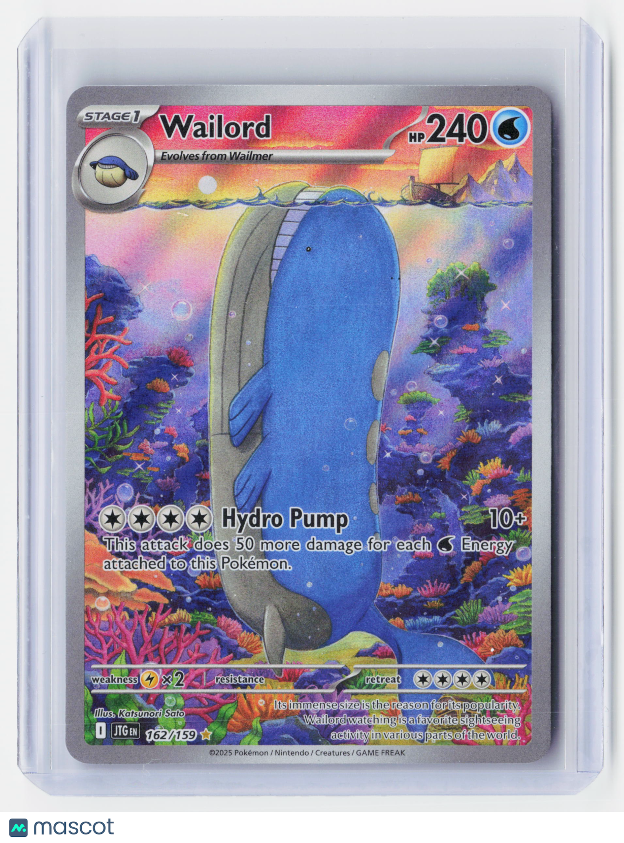 2025 Pokemon—Wailord #162/159 Journey Together—Illustration Rare Foil