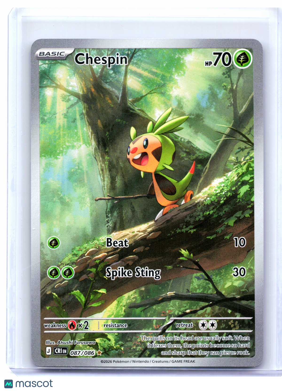 2026 Pokemon—Chespin #087/086 Chaos Rising—Illustration Rare Holo