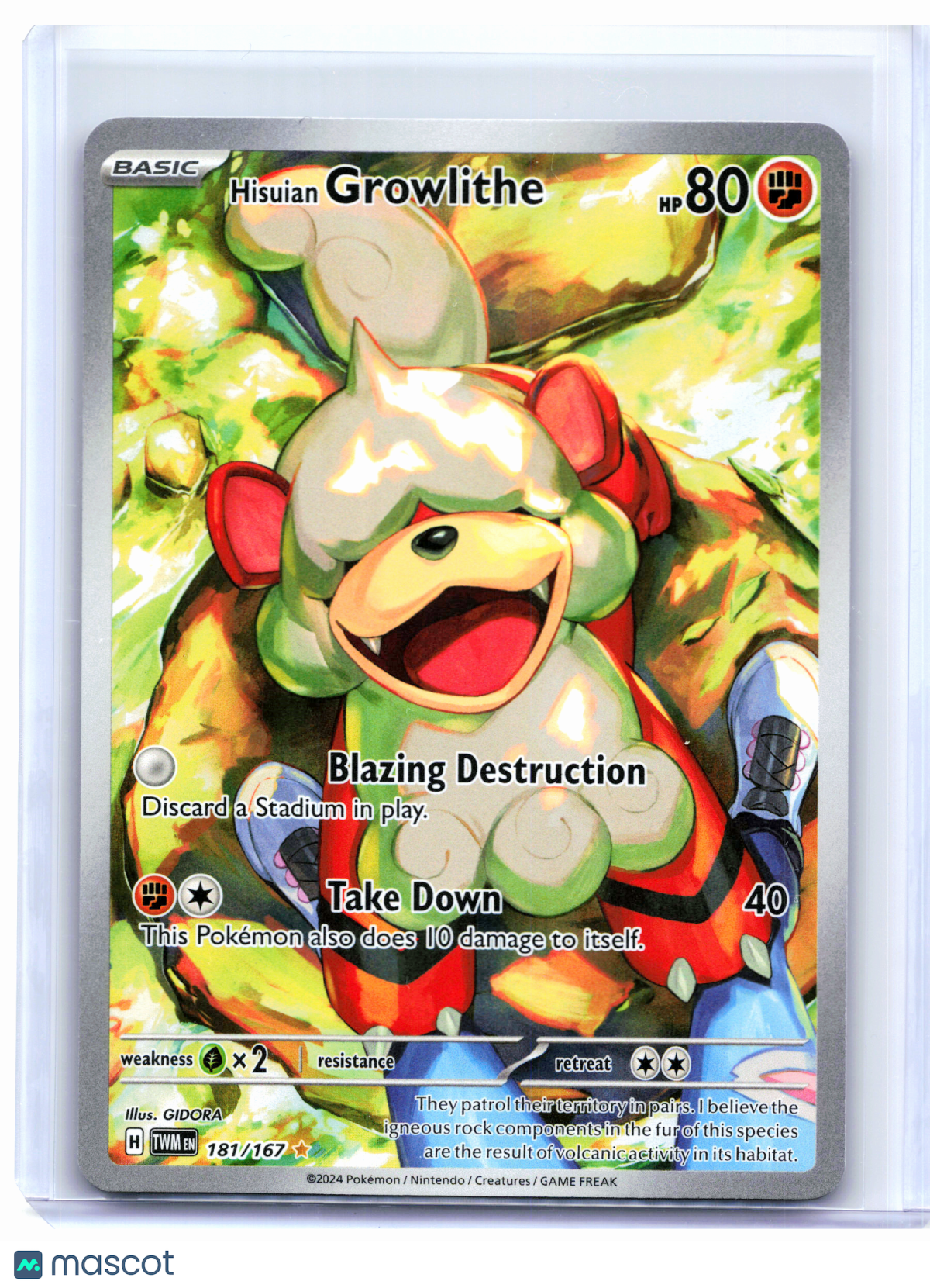 2024 Pokemon—Hisuian Growlithe #181/167 Twilight Masquerade—Illustration Rare