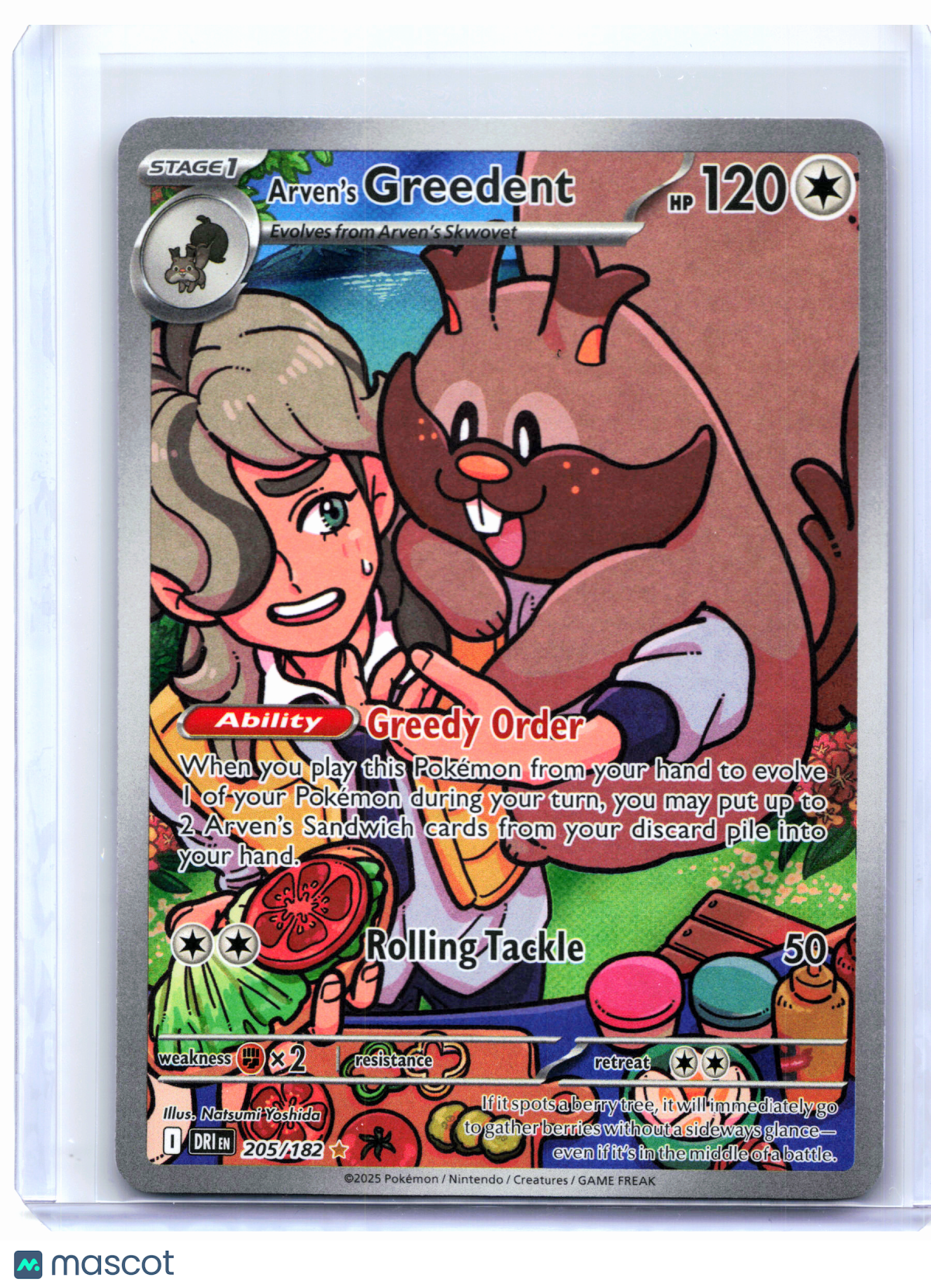 2025 Pokemon—Arven's Greedent #205/182 Destined Rivals—Illustration Rare Holo