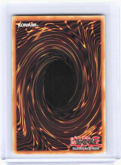 2024 Yu-Gi-Oh! TCG—EM:P Meowmine #PHNI-EN032 Phantom Nightmare—QCSR Foil 1st Ed