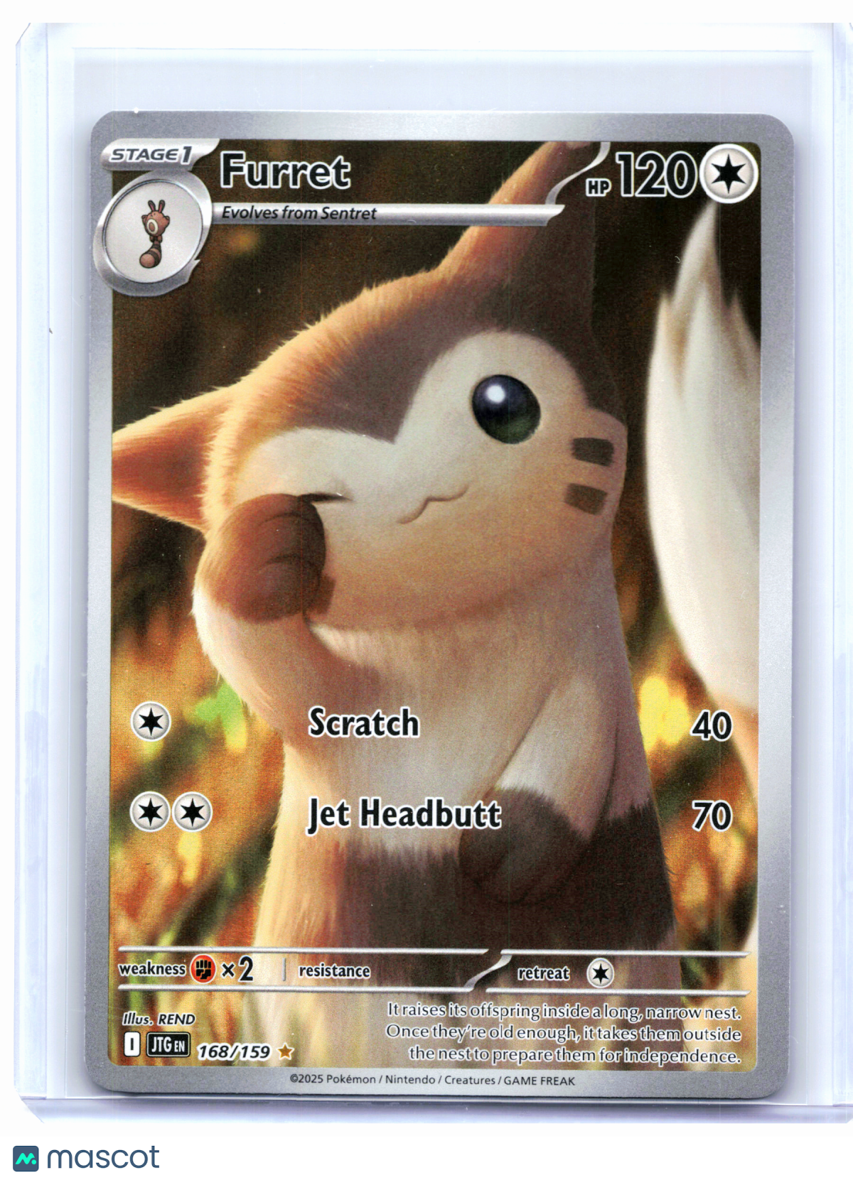 2025 Pokemon—Furret #168/159 Journey Together—Illustration Rare Holo