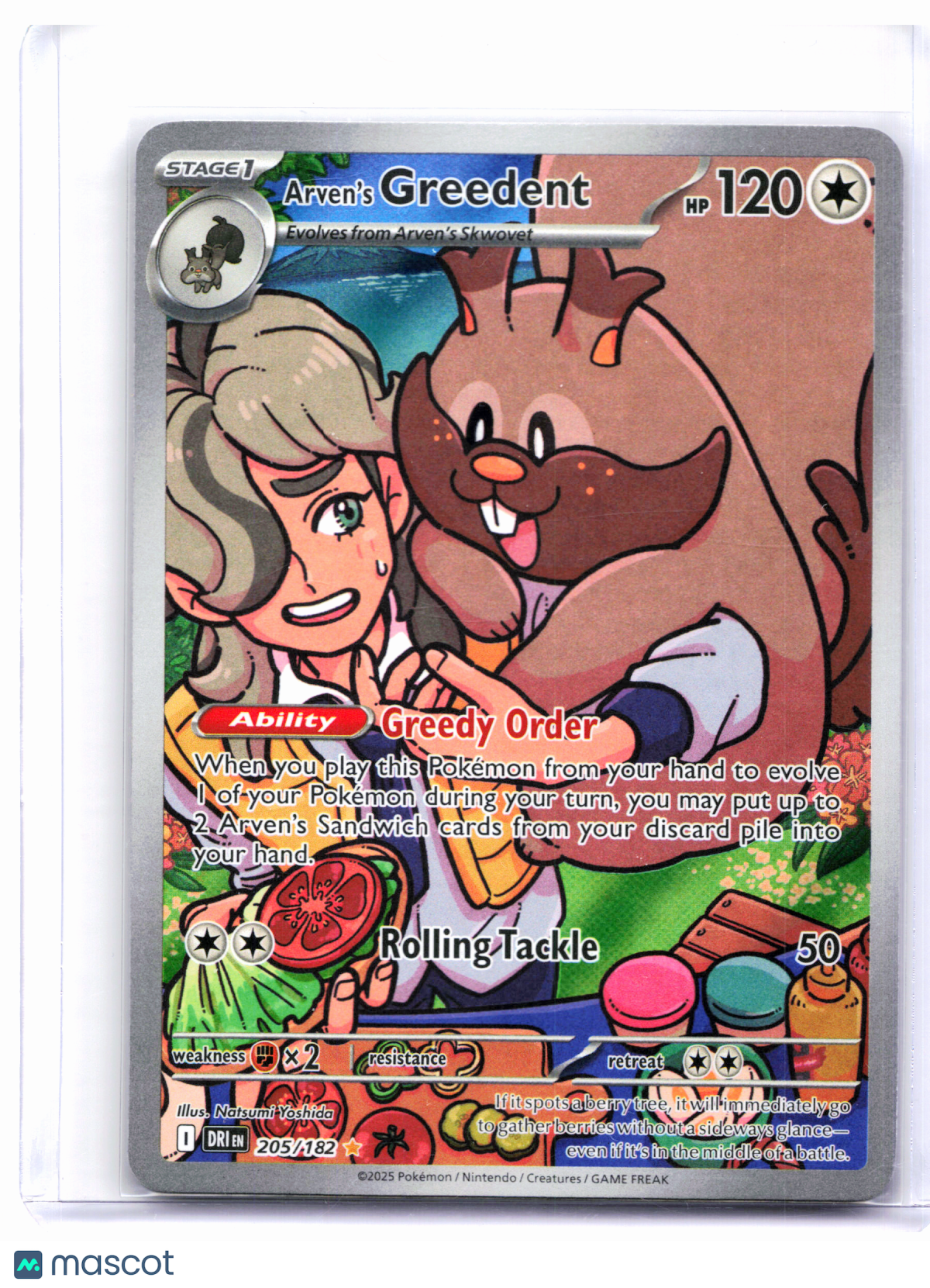 2025 Pokemon—Arven's Greedent #205/182 Destined Rivals—Illustration Rare Holo