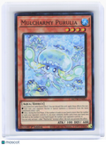 2024 YuGiOh—Mulcharmy Purulia #MZTM-EN083 Maze of the Master—UR Foil 1st Ed (LP)