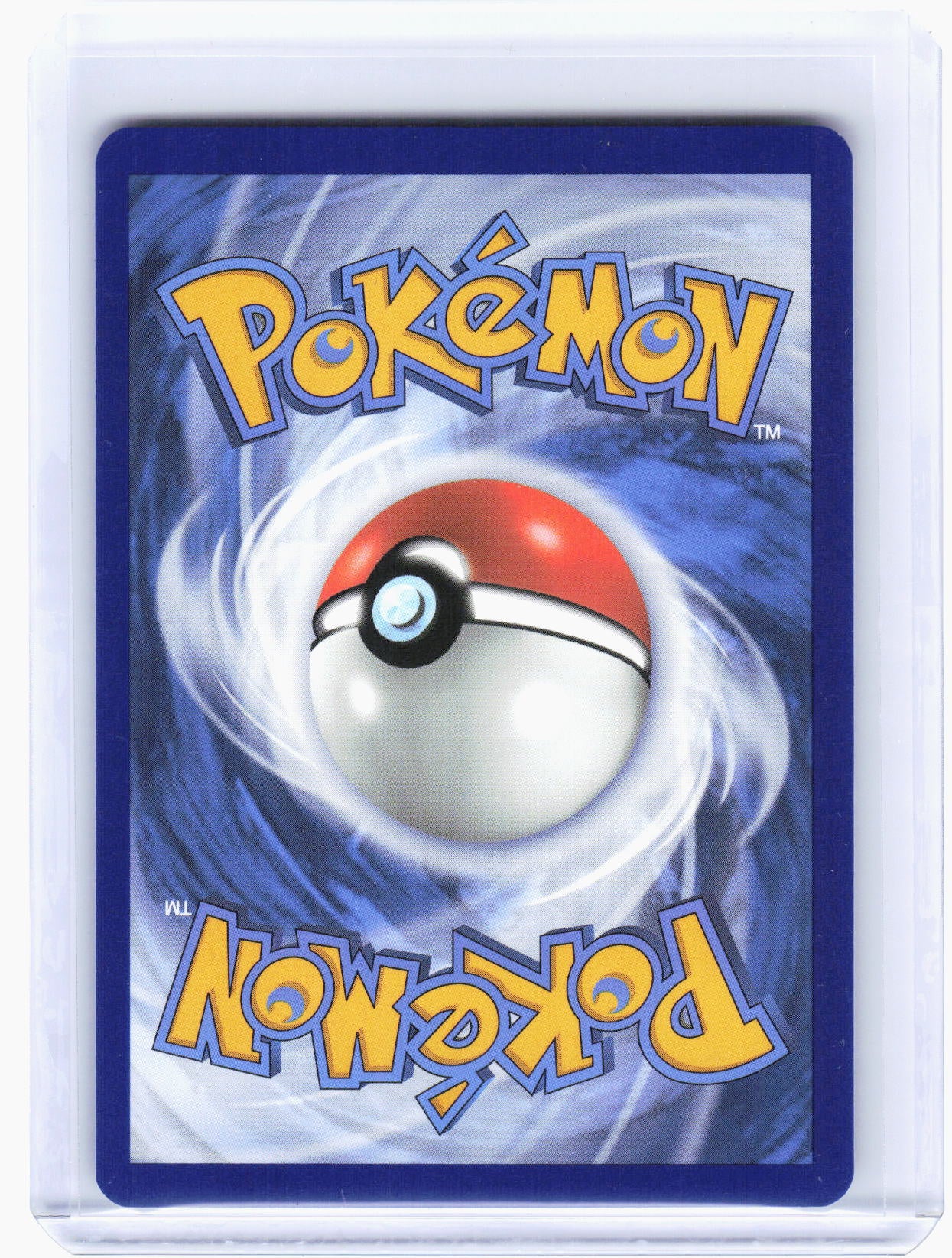 2024 Pokemon—Lileep #145/142 Stellar Crown—Illustration Rare Foil