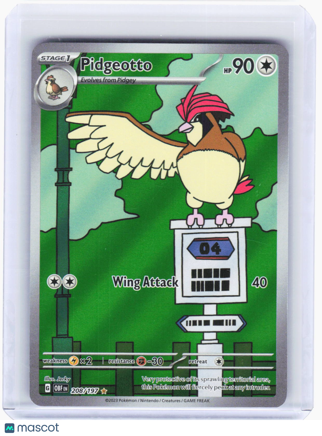 2023 Pokemon—Pidgeotto #208/197 Obsidian Flames—Illustration Rare Foil (LP)