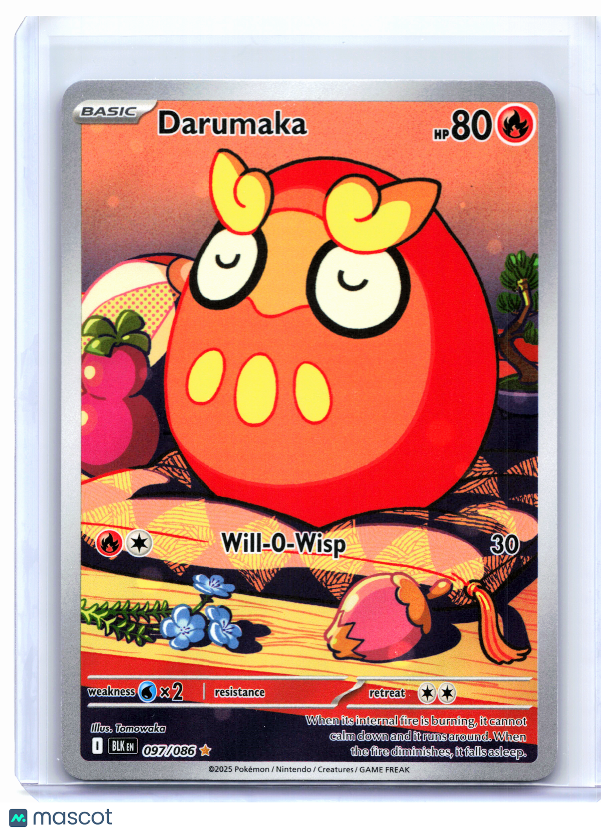 2025 Pokemon—Darumaka #097/086 Black Bolt—Illustration Rare Holo