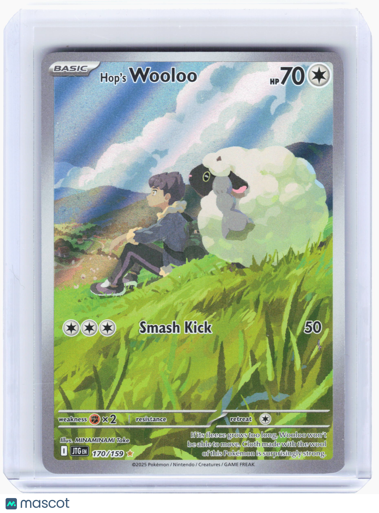 2025 Pokemon—Hop's Wooloo #170/159 Journey Together—Illustration Rare Holo