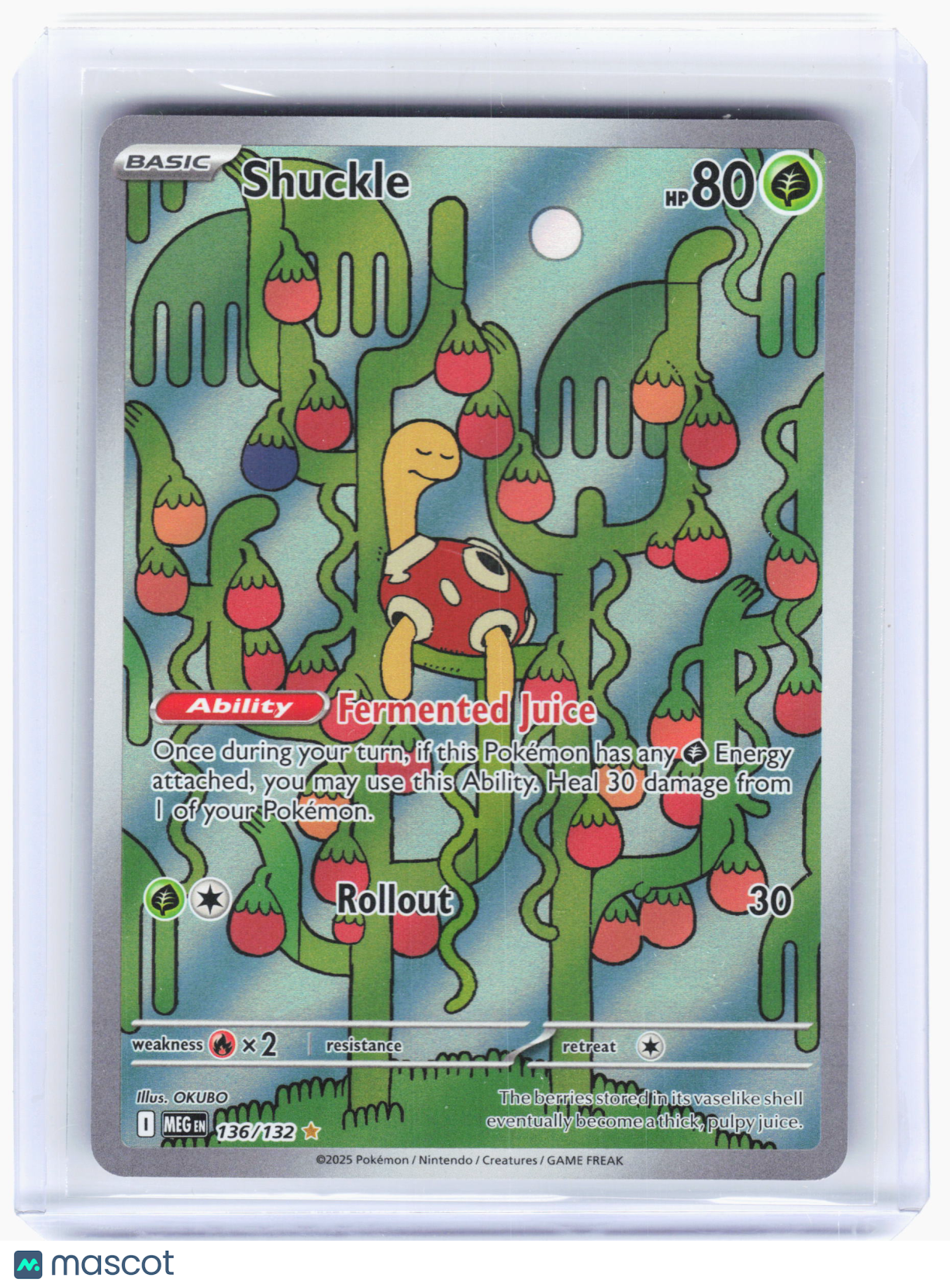 2025 Pokemon—Shuckle #136/132 Mega Evolution—Illustration Rare Holo