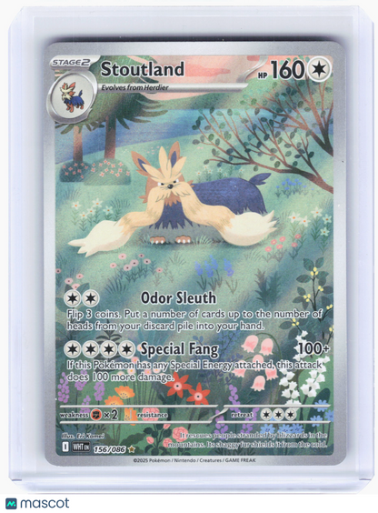 2025 Pokemon—Stoutland #156/86 White Flare—Illustration Rare Holo