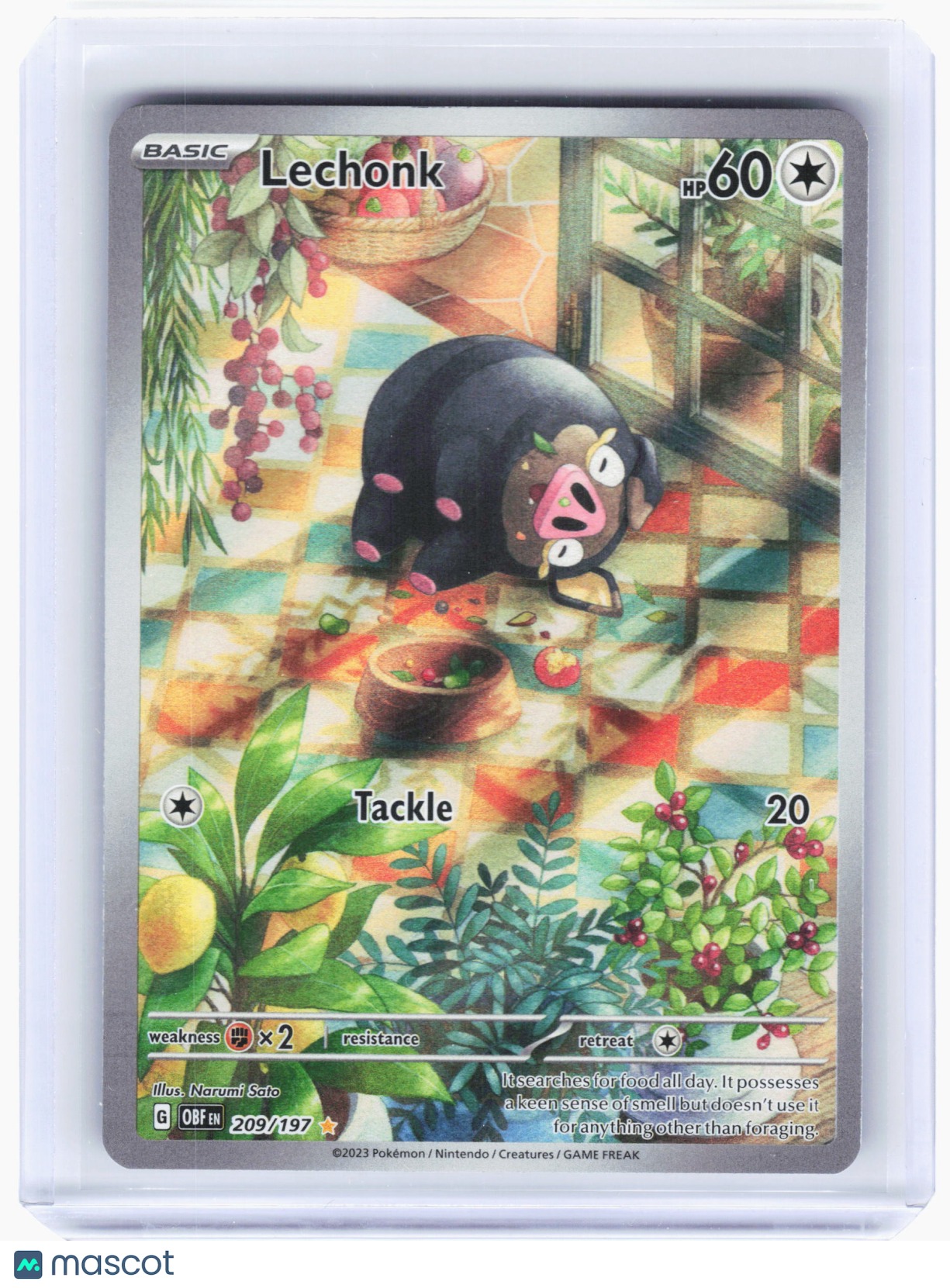 2023 Pokemon—Lechonk #209/197 Obsidian Flames—Illustration Rare Holo