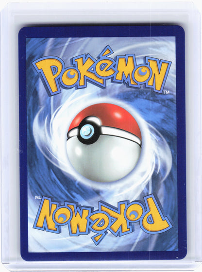2021 Pokemon—Toxtricity VMAX SV113/SV122 Fates: Shiny Vault—Shiny Holo Rare Holo