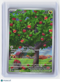 2024 Pokemon—Applin #185/167 Twilight Masquerade—Illustration Rare Foil