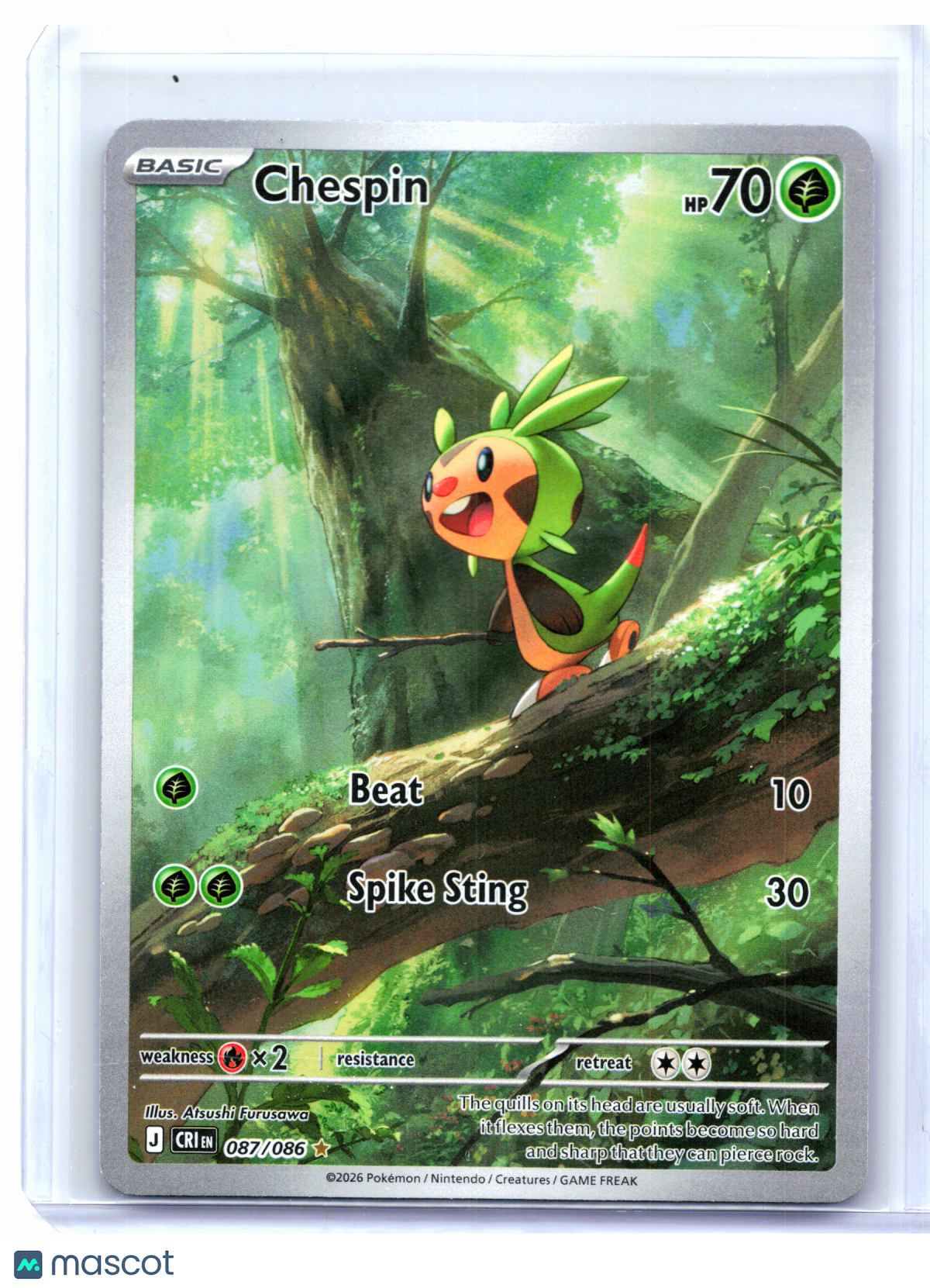 2026 Pokemon—Chespin #087/086 Chaos Rising—Illustration Rare Holo