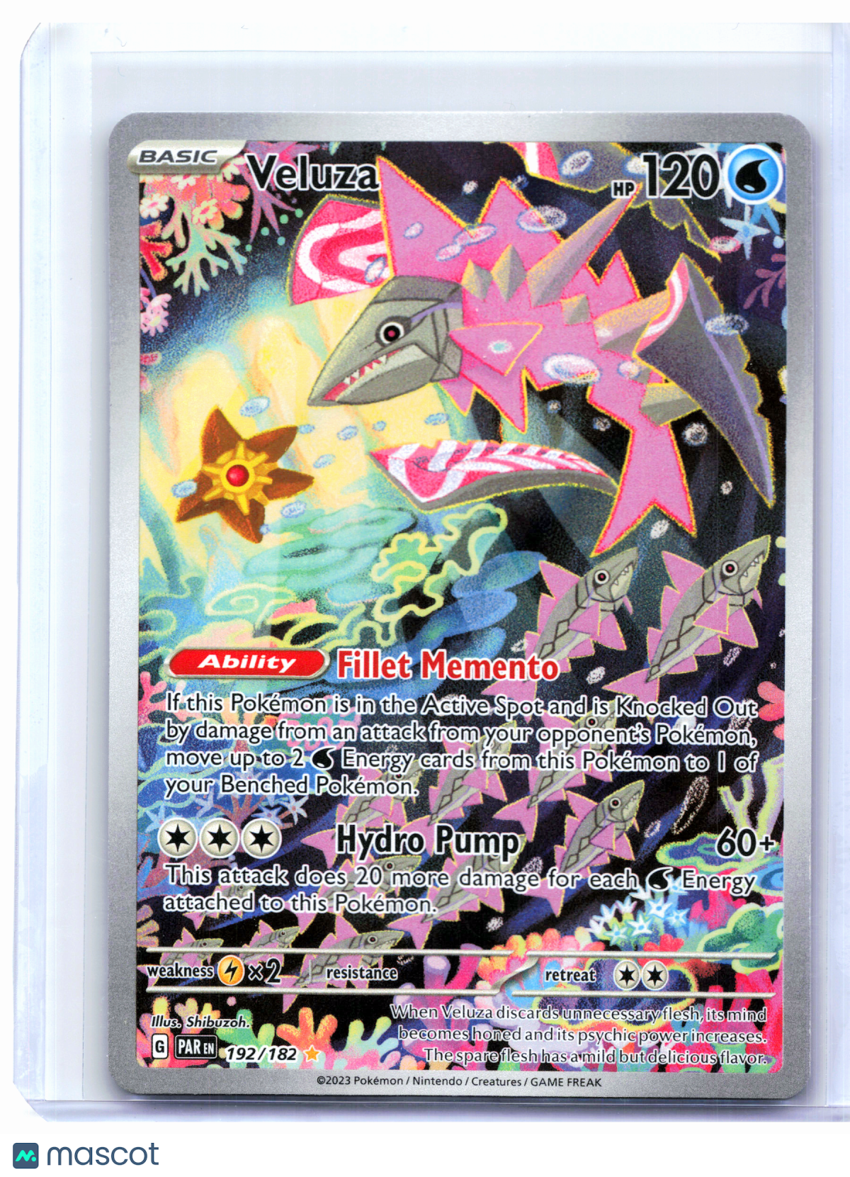 2023 Pokemon—Veluza #192/182 Paradox Rift—Illustration Rare Holo