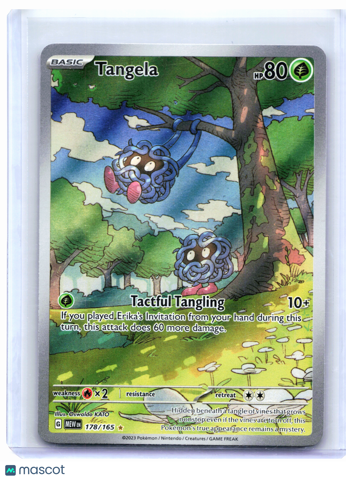 2023 Pokemon—Tangela #178/165 Scarlet & Violet 151—Illustration Rare Holo