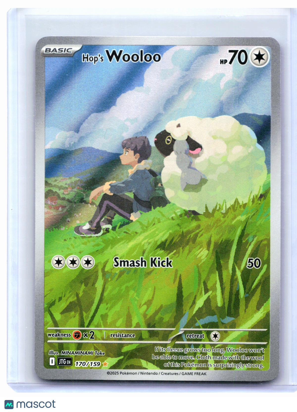 2023 Pokemon—Hop's Wooloo #170/159 Journey Together—Illustration Rare Holo