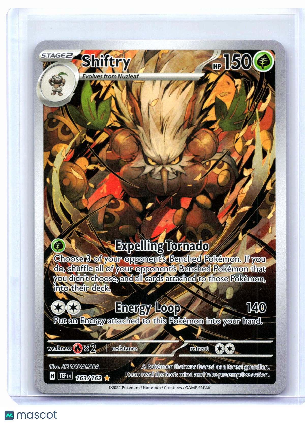 2024 Pokemon—Shiftry #163/162 Temporal Forces—Illustration Rare Holo [LP]