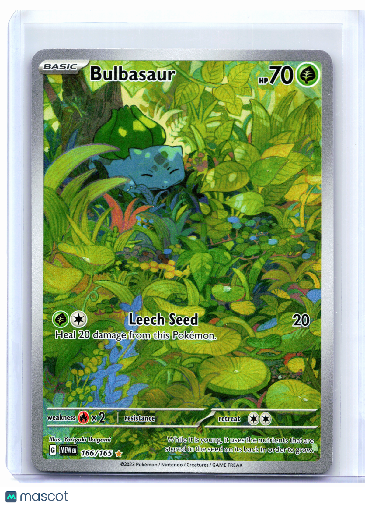 2023 Pokemon—Bulbasaur #166/165 Scarlet & Violet 151—Illustration Rare Holo [HP]