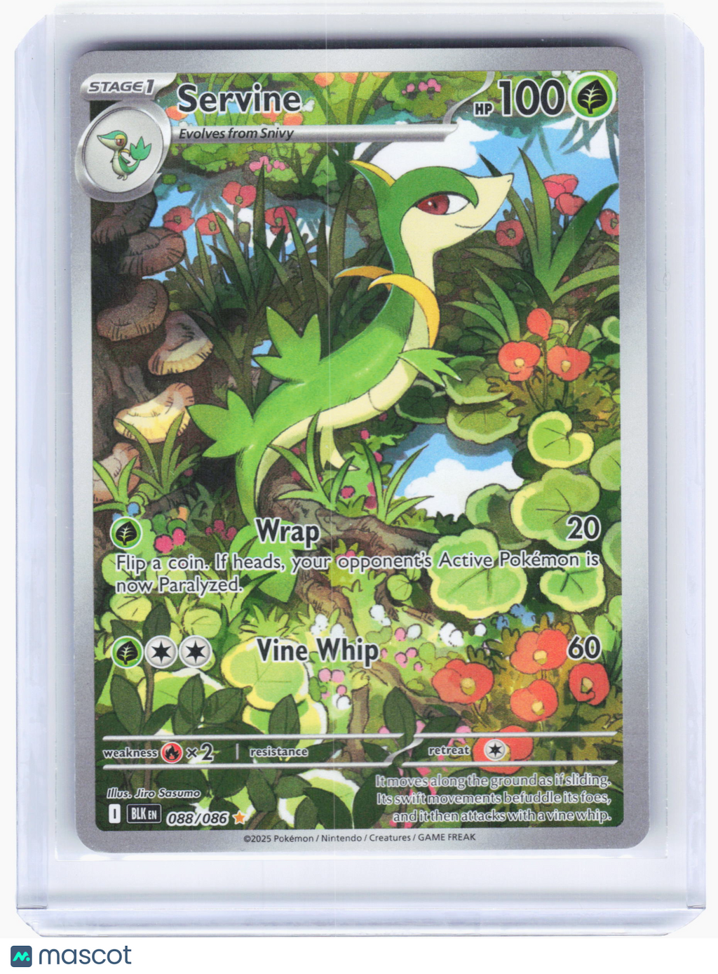 2025 Pokemon—Servine #88/86 Black Bolt—Illustration Rare Holo