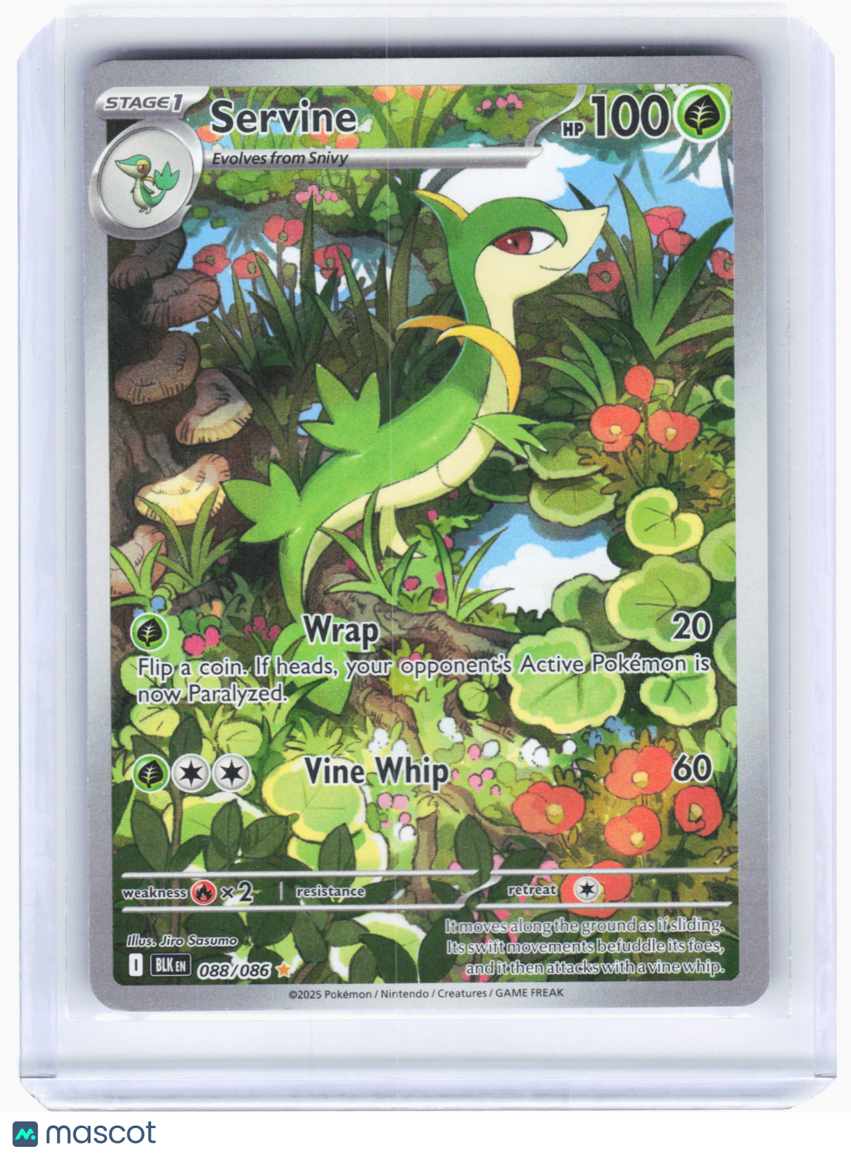 2025 Pokemon—Servine #88/86 Black Bolt—Illustration Rare Holo