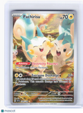 2023 Pokemon—Pachirisu #208/198 Scarlet & Violet Base Set—Illustration Rare Foil