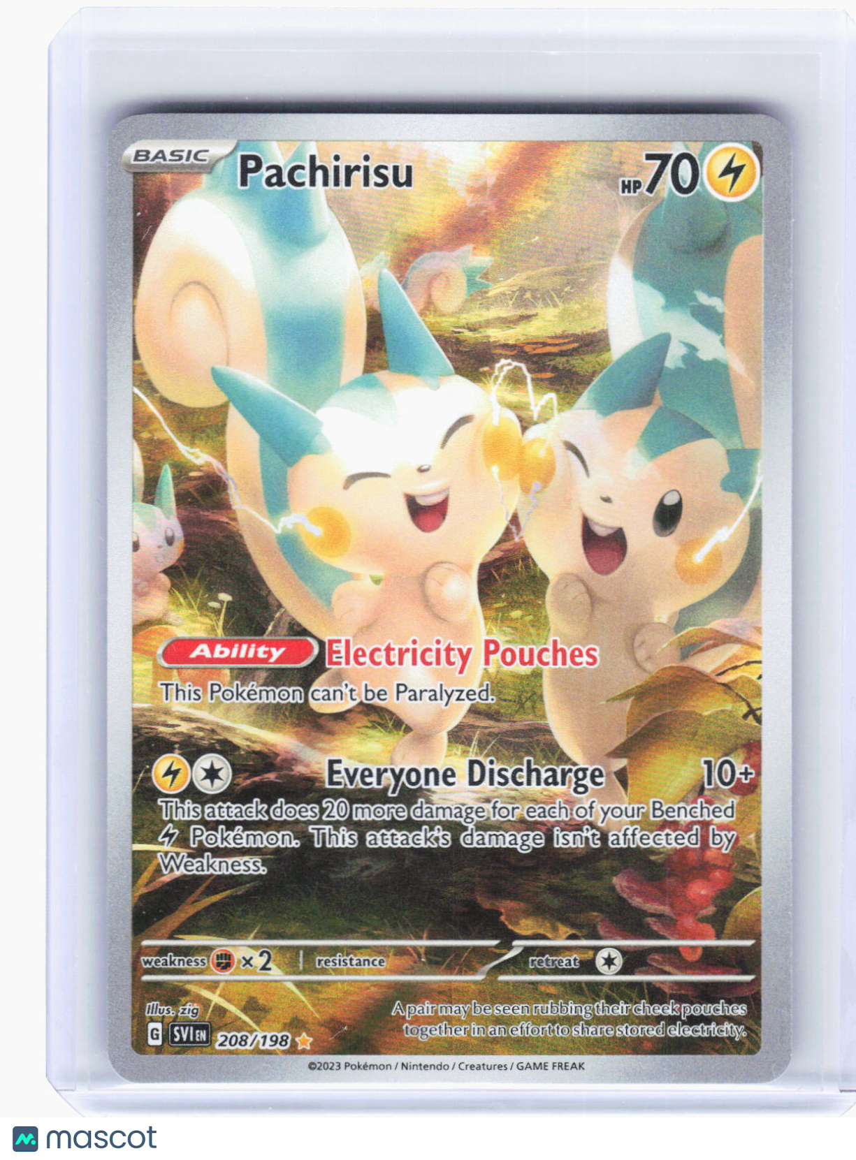 2023 Pokemon—Pachirisu #208/198 Scarlet & Violet Base Set—Illustration Rare Foil