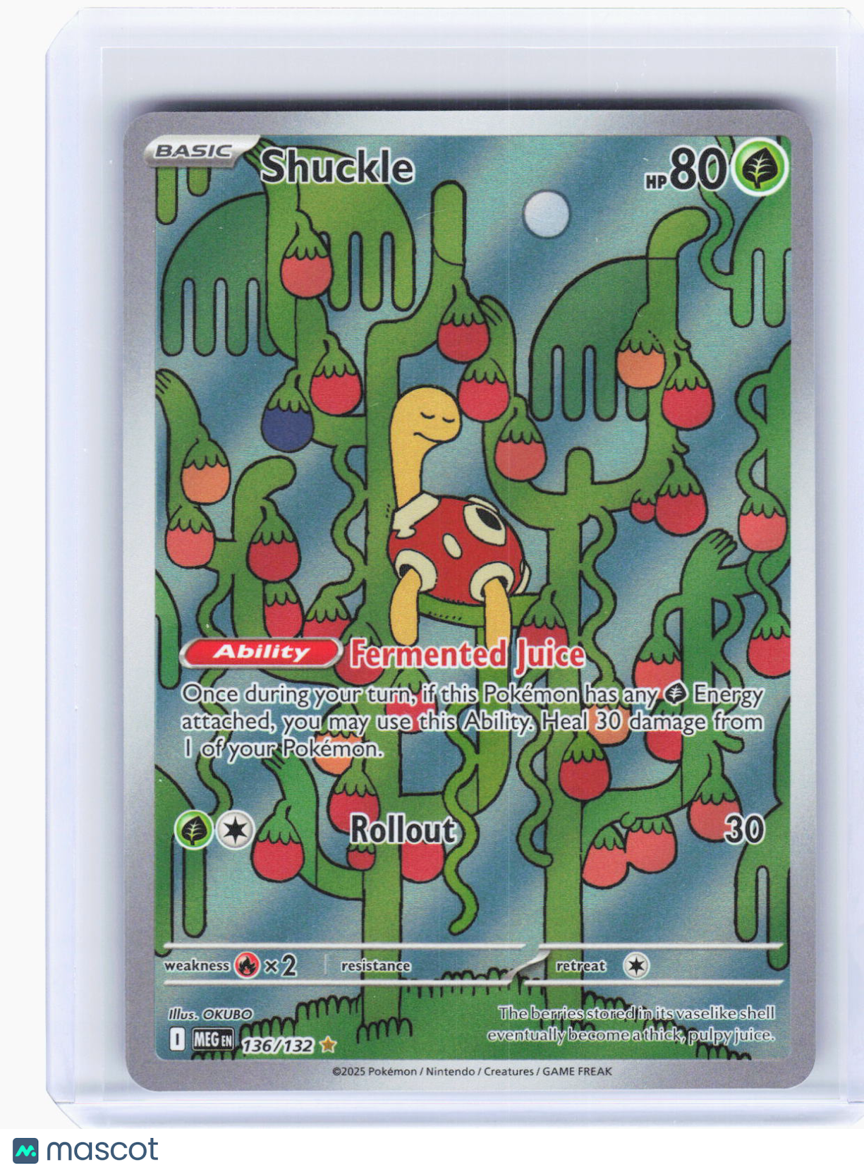 2025 Pokemon—Shuckle #136/132 Mega Evolution—Illustration Rare Foil