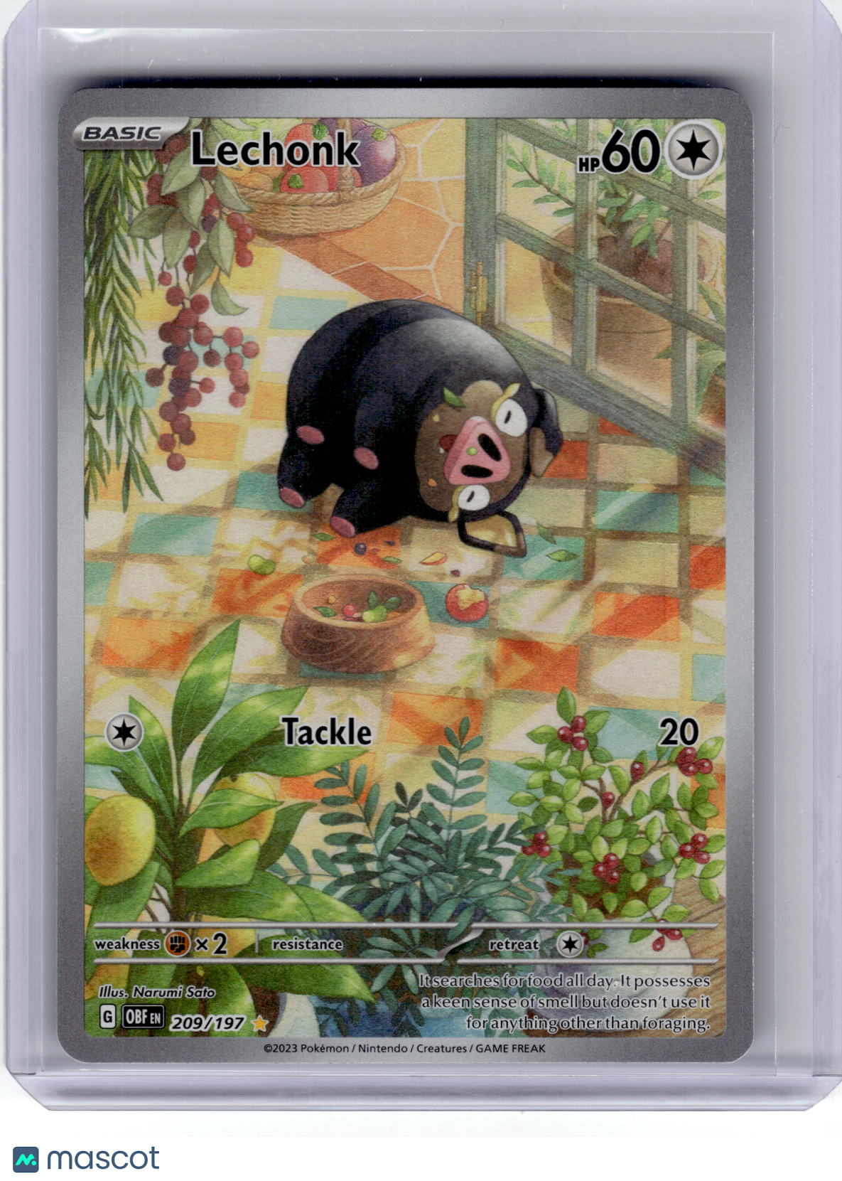 2023 Pokemon—Lechonk 209 Obsidian Flames—Illustration Rare Holo [Lightly Played]