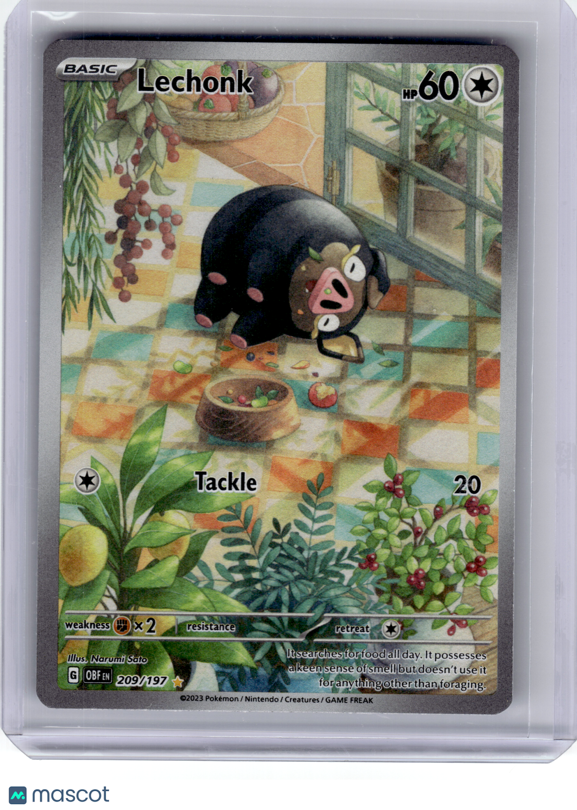 2023 Pokemon—Lechonk 209 Obsidian Flames—Illustration Rare Holo [Lightly Played]