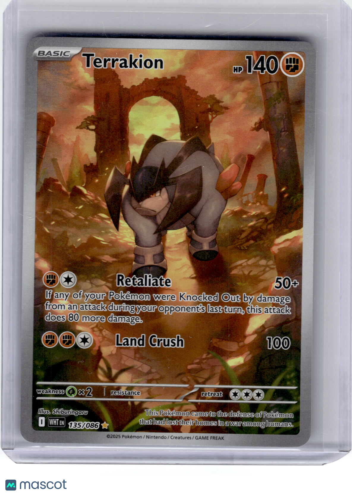 2025 Pokemon—Terrakion #135 White Flare—Illustration Rare Holo [Lightly Played]