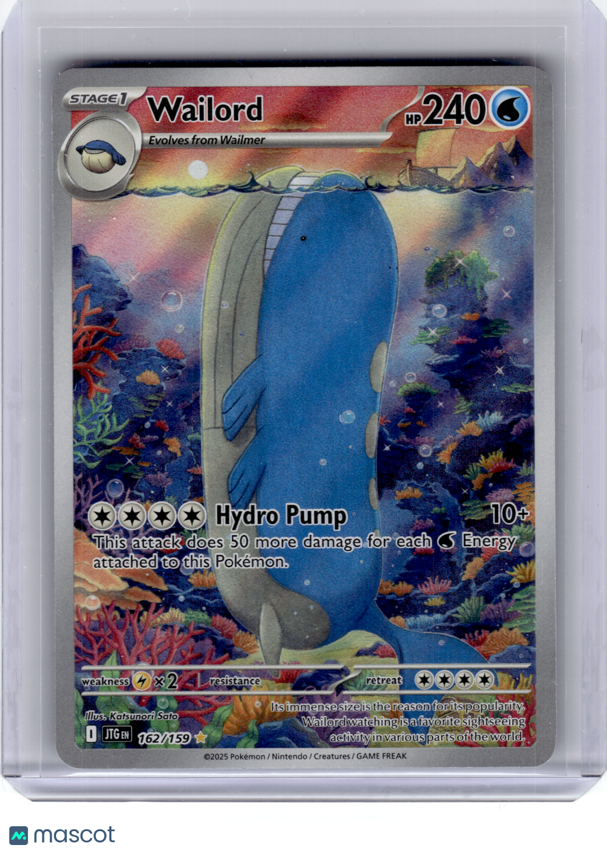 2025 Pokemon—Wailord #162 Journey Together—Illustration Rare Holo