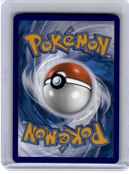 2025 Pokemon—Wailord #162 Journey Together—Illustration Rare Holo