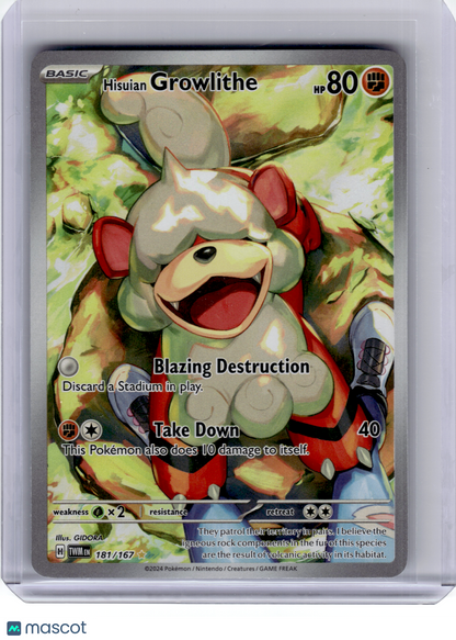 2024 Pokemon—Hisuian Growlithe #181 Twilight Masquerade—IR Holo [Lightly Played]