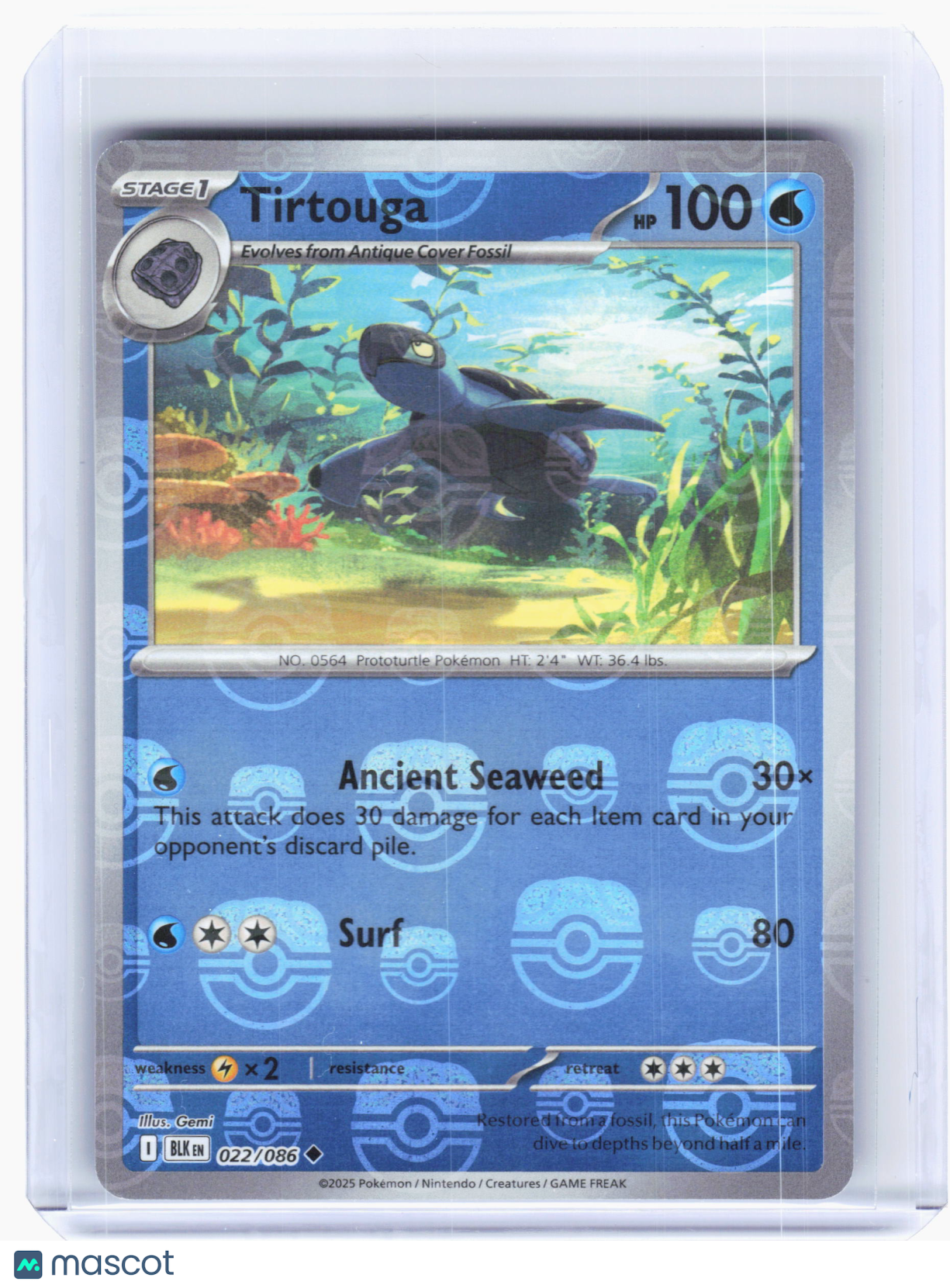 2025 Pokemon—Tirtouga #22 Black Bolt—Uncommon Reverse Holo (Master Ball)