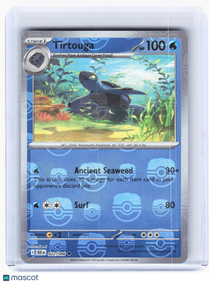 2025 Pokemon—Tirtouga #22 Black Bolt—Uncommon Reverse Holo (Master Ball)